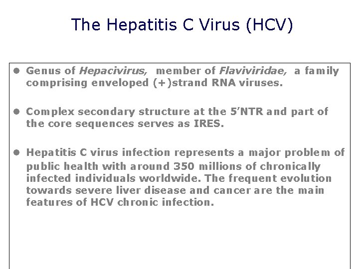 The Hepatitis C Virus (HCV) l Genus of Hepacivirus, member of Flaviviridae, a family The Hepatitis C Virus (HCV) l Genus of Hepacivirus, member of Flaviviridae, a family