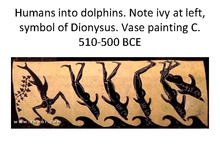 Humans into dolphins. Note ivy at left, symbol of Dionysus. Vase painting C. 510