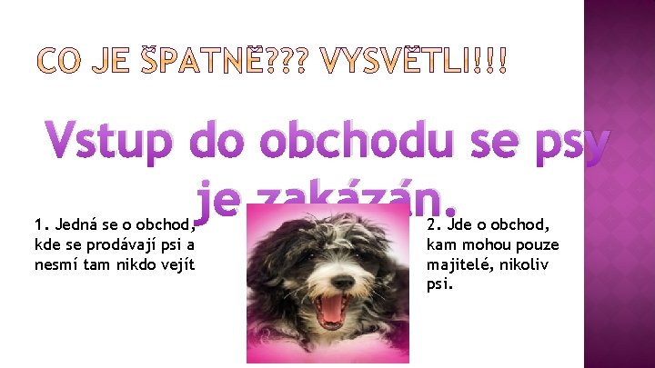 Vstup do obchodu se psy je zakázán. 1. Jedná se o obchod, kde se
