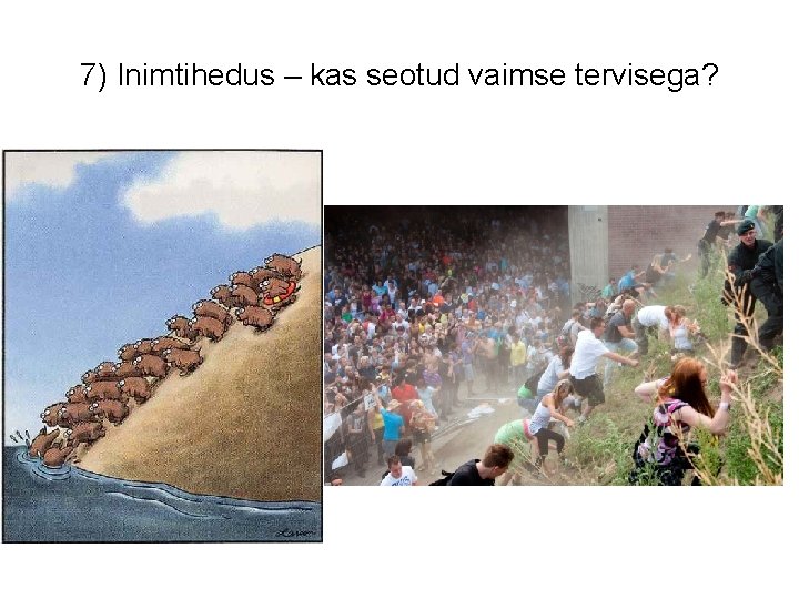 7) Inimtihedus – kas seotud vaimse tervisega? 