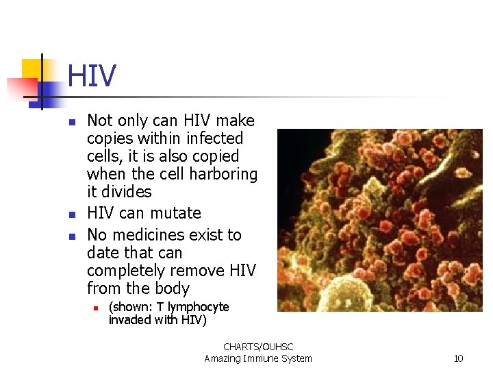 HIV n n n Not only can HIV make copies within infected cells, it HIV n n n Not only can HIV make copies within infected cells, it