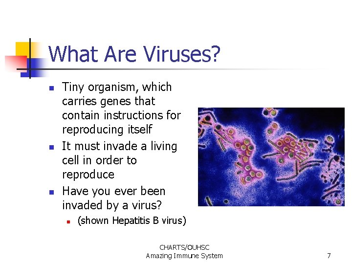 What Are Viruses? n n n Tiny organism, which carries genes that contain instructions What Are Viruses? n n n Tiny organism, which carries genes that contain instructions