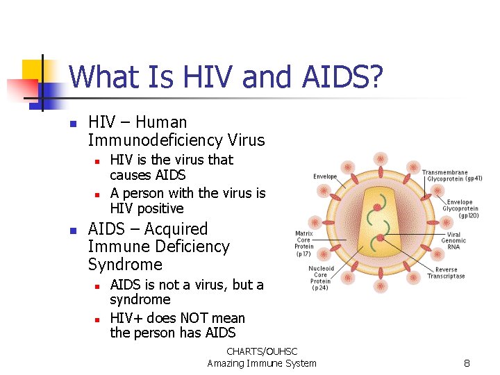 What Is HIV and AIDS? n HIV – Human Immunodeficiency Virus n n n What Is HIV and AIDS? n HIV – Human Immunodeficiency Virus n n n