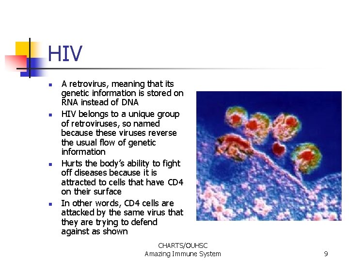 HIV n n A retrovirus, meaning that its genetic information is stored on RNA HIV n n A retrovirus, meaning that its genetic information is stored on RNA