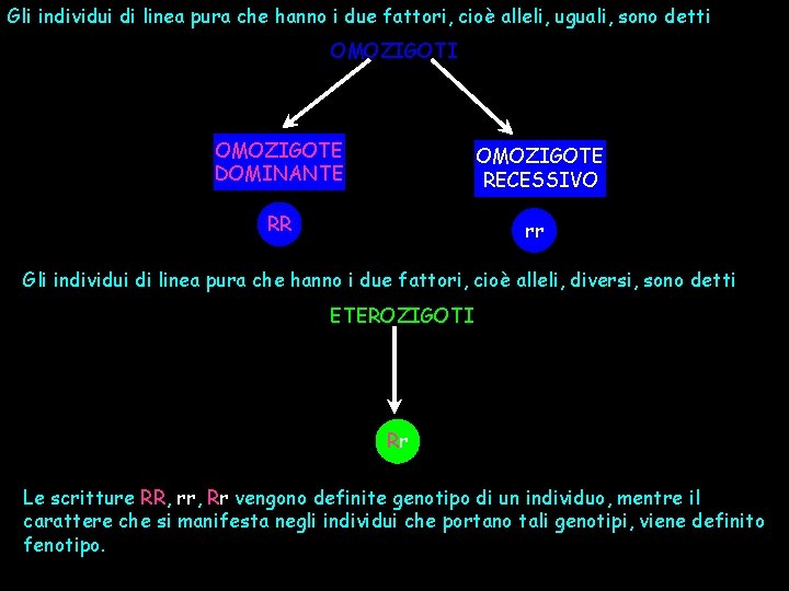 Gli individui di linea pura che hanno i due fattori, cioè alleli, uguali, sono