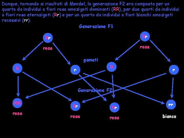 Dunque, tornando ai risultati di Mendel, la generazione F 2 era composta per un