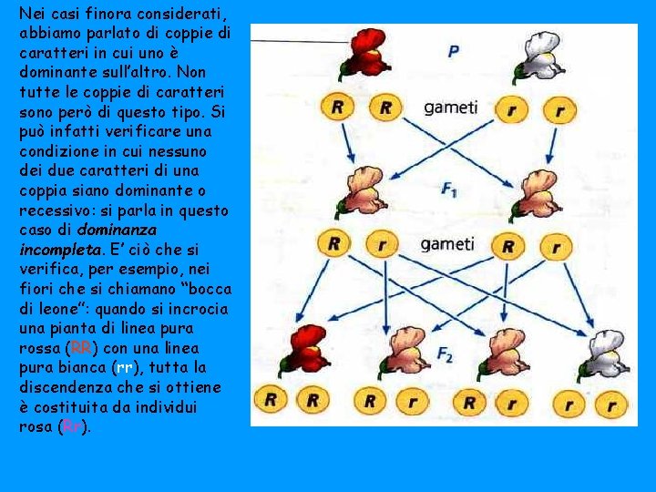 Nei casi finora considerati, abbiamo parlato di coppie di caratteri in cui uno è