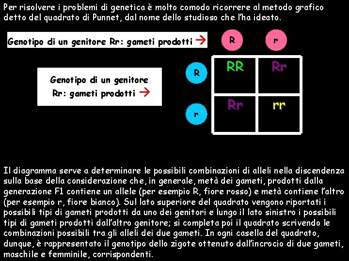 Per risolvere i problemi di genetica è molto comodo ricorrere al metodo grafico detto