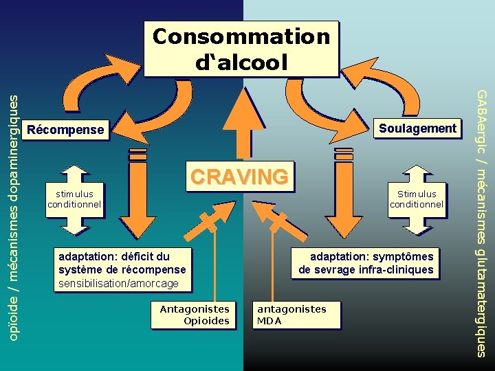 Soulagement Récompense CRAVING stimulus conditionnel adaptation: déficit du système de récompense sensibilisation/amorcage Antagonistes Opioides