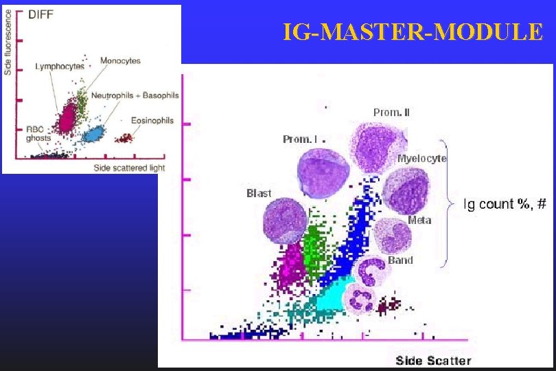 IG-MASTER-MODULE 