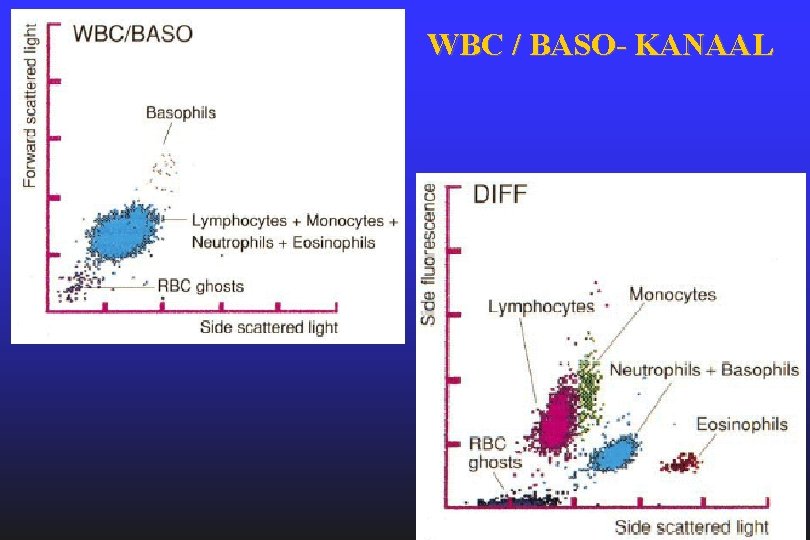 WBC / BASO- KANAAL WBC / BASO- KANAAL