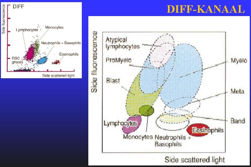 DIFF-KANAAL 