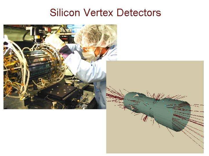 Silicon Vertex Detectors Silicon Vertex Detectors