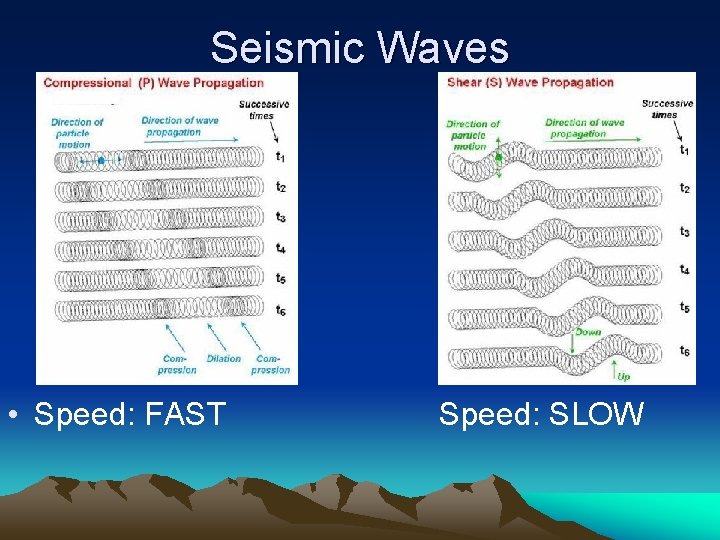 Seismic Waves • Speed: FAST Speed: SLOW 