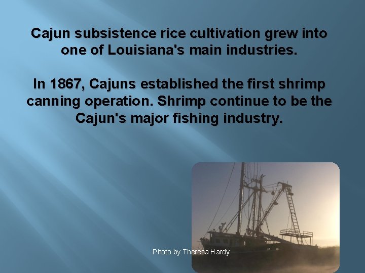 Cajun subsistence rice cultivation grew into one of Louisiana's main industries. In 1867, Cajuns