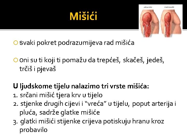 Mišići svaki pokret podrazumijeva rad mišića oni su ti koji ti pomažu da trepćeš,