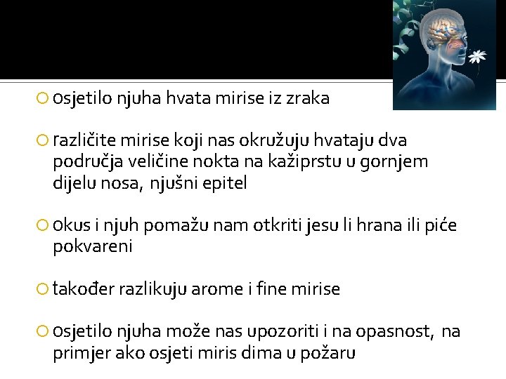  osjetilo njuha hvata mirise iz zraka različite mirise koji nas okružuju hvataju dva