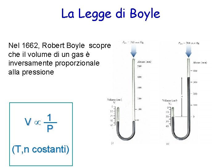 La Legge di Boyle Nel 1662, Robert Boyle scopre che il volume di un