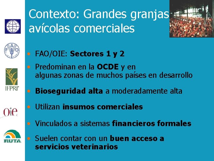 Contexto: Grandes granjas avícolas comerciales • FAO/OIE: Sectores 1 y 2 • Predominan en