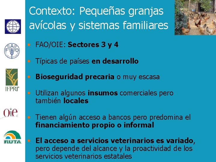 Contexto: Pequeñas granjas avícolas y sistemas familiares • FAO/OIE: Sectores 3 y 4 •