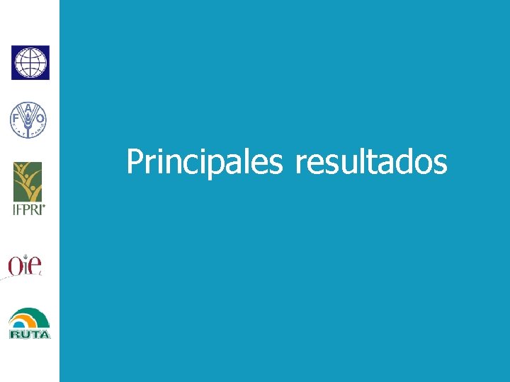 Principales resultados 