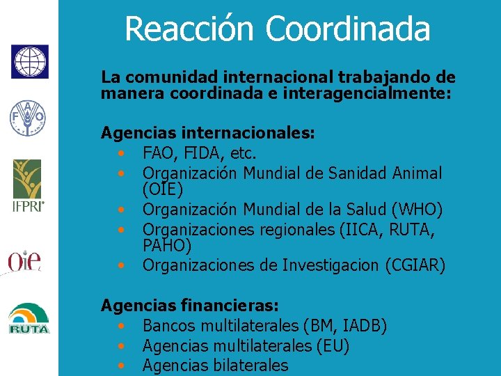 Reacción Coordinada La comunidad internacional trabajando de manera coordinada e interagencialmente: Agencias internacionales: •