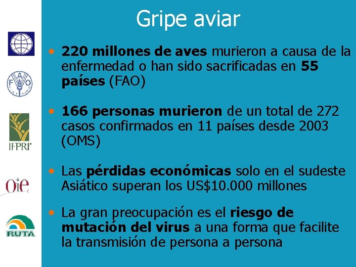 Gripe aviar • 220 millones de aves murieron a causa de la enfermedad o