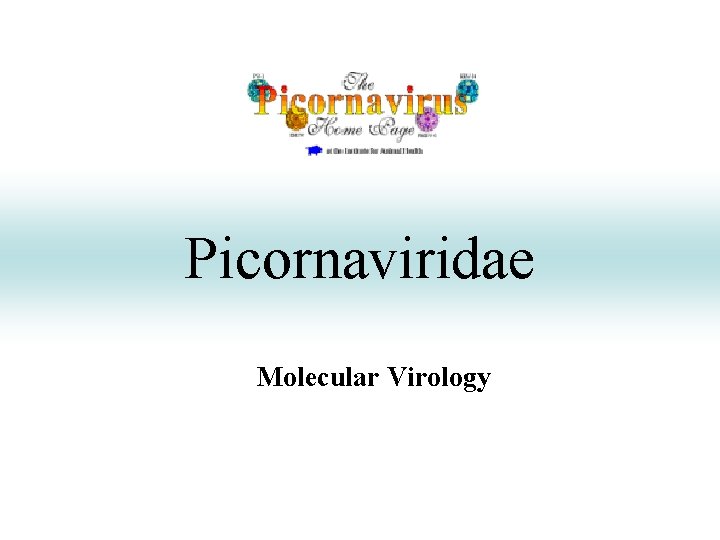 Picornaviridae Molecular Virology 