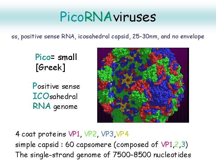 Pico. RNAviruses ss, positive sense RNA, icosahedral capsid, 25 -30 nm, and no envelope