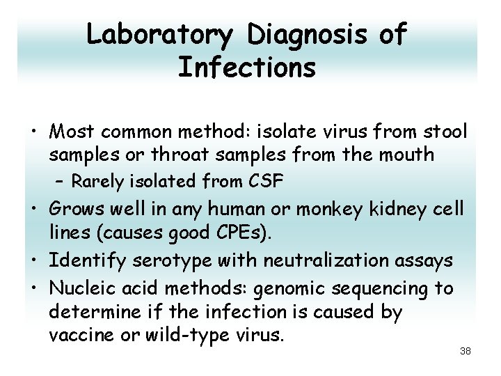 Laboratory Diagnosis of Infections • Most common method: isolate virus from stool samples or