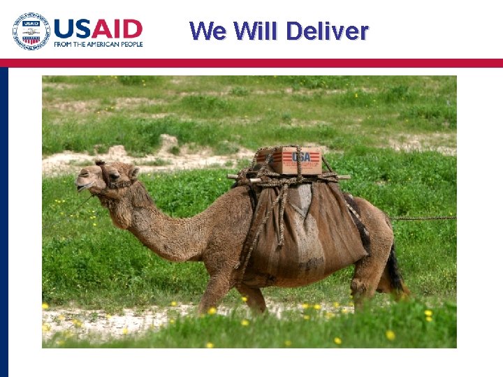 We Will Deliver 