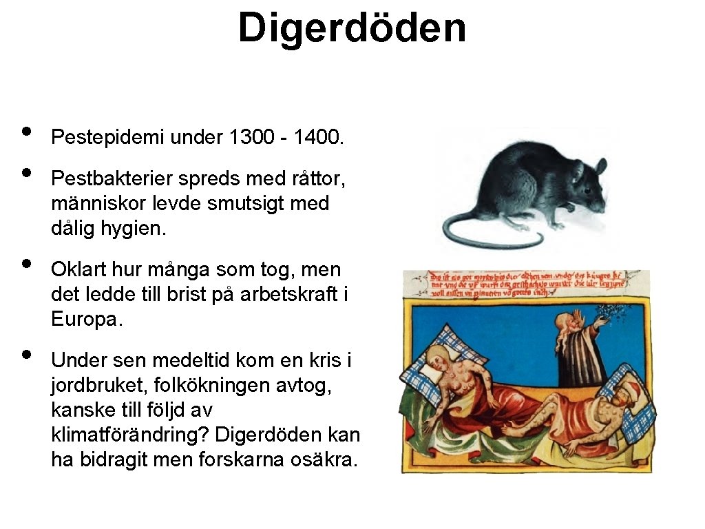 Digerdöden • • Pestepidemi under 1300 - 1400. Pestbakterier spreds med råttor, människor levde