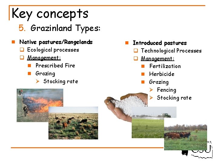 Key concepts 5. Grazinland Types: n Native pastures/Rangelands q Ecological processes q Management: n