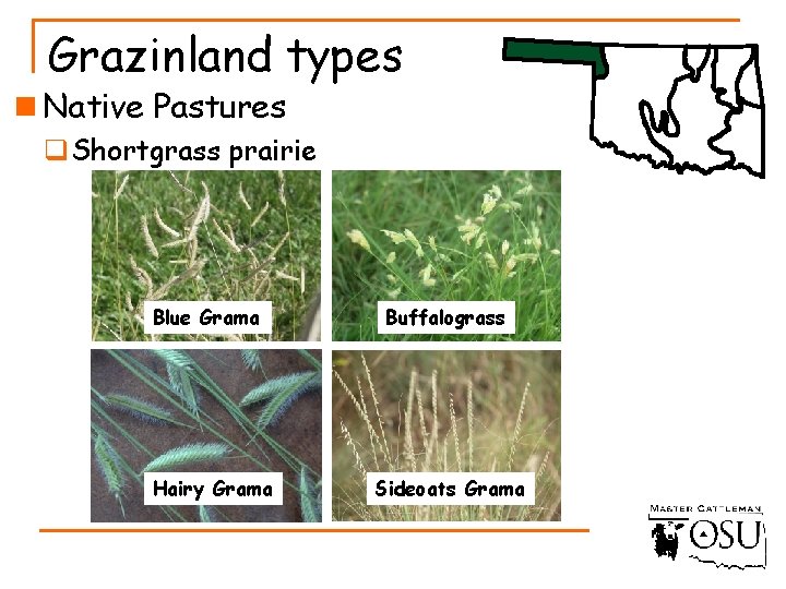 Grazinland types n Native Pastures q Shortgrass prairie Blue Grama Hairy Grama Buffalograss Sideoats