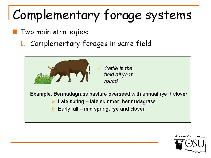 Complementary forage systems n Two main strategies: 1. Complementary forages in same field ü