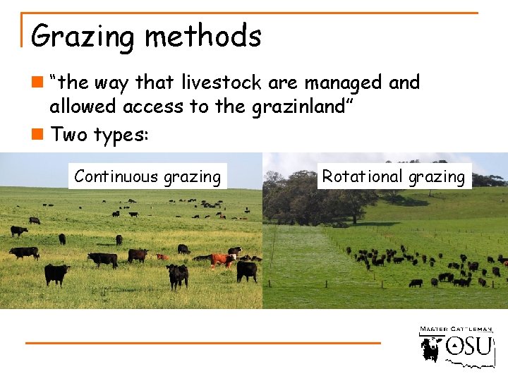 Grazing methods n “the way that livestock are managed and allowed access to the