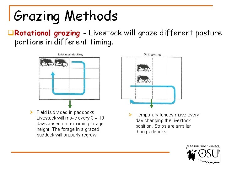 Grazing Methods q. Rotational grazing - Livestock will graze different pasture portions in different