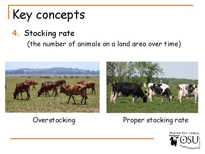 Key concepts 4. Stocking rate (the number of animals on a land area over