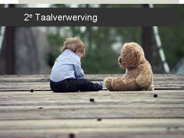 2 e Taalverwerving 2 e Taalverwerving