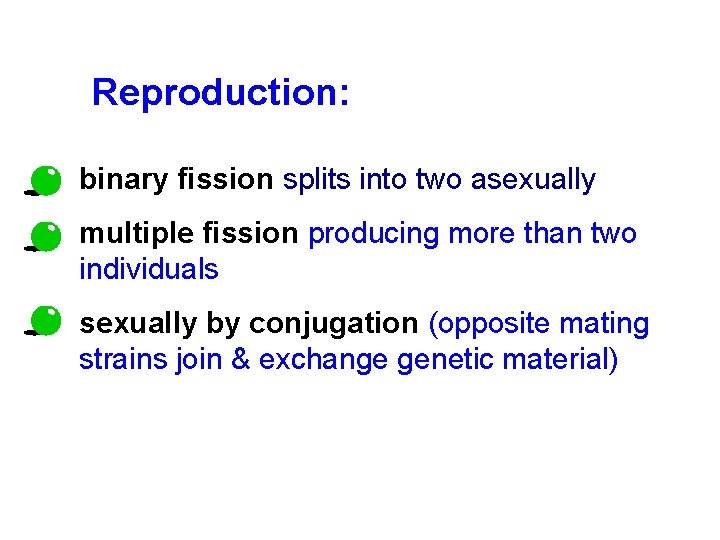 Reproduction: • binary fission splits into two asexually • multiple fission producing more than