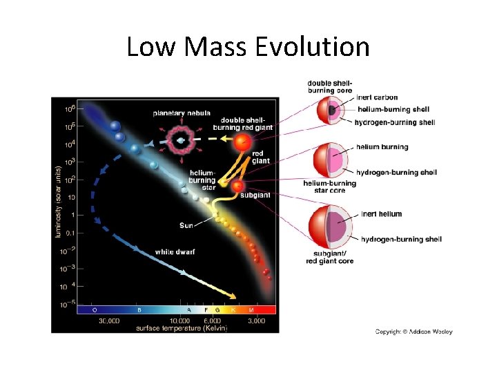 Low Mass Evolution 