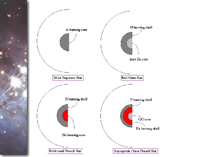 Introduction • Main Sequence – Graph of stars lives 