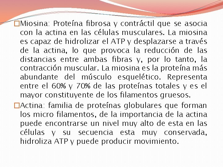 �Miosina: Proteína fibrosa y contráctil que se asocia con la actina en las células