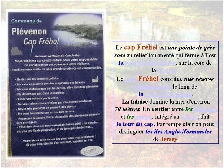 Le cap Fréhel est une pointe de grès rose au relief tourmenté qui ferme