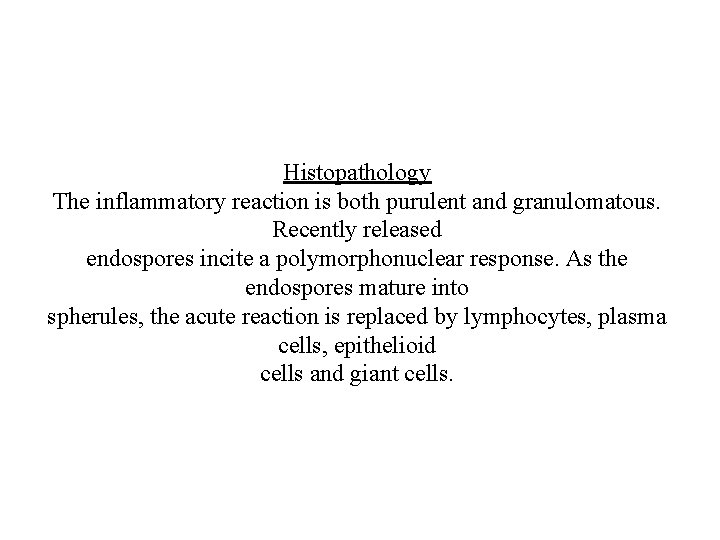 Histopathology The inflammatory reaction is both purulent and granulomatous. Recently released endospores incite a