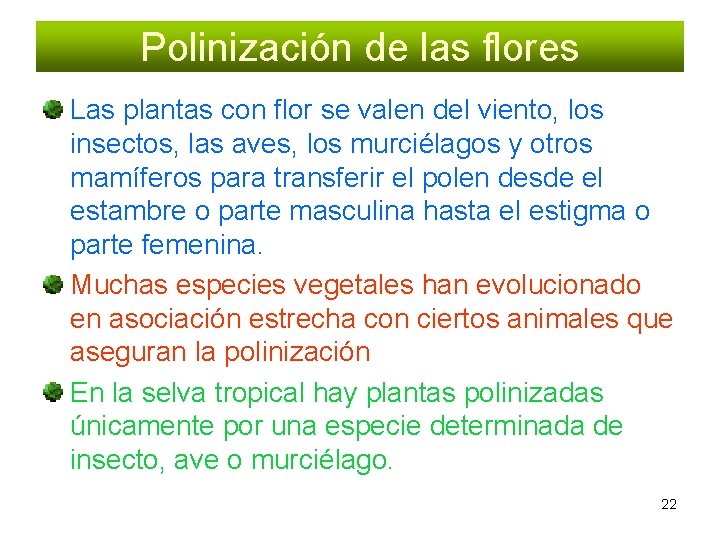 Polinización de las flores Las plantas con flor se valen del viento, los insectos,