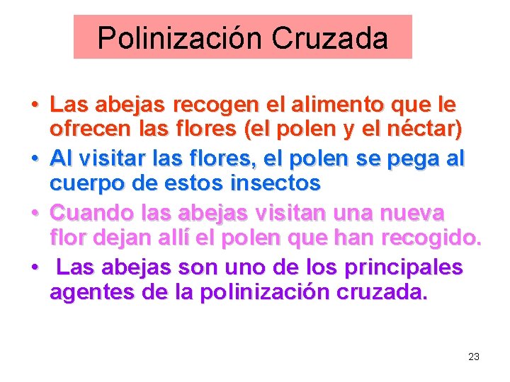 Polinización Cruzada • Las abejas recogen el alimento que le ofrecen las flores (el