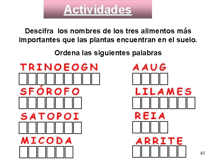 Actividades Descifra los nombres de los tres alimentos más importantes que las plantas encuentran