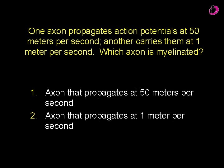 One axon propagates action potentials at 50 meters per second; another carries them at