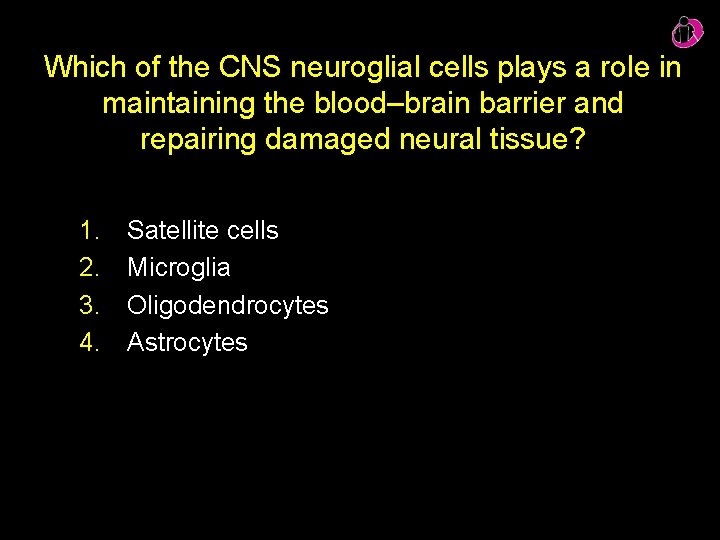 Which of the CNS neuroglial cells plays a role in maintaining the blood–brain barrier